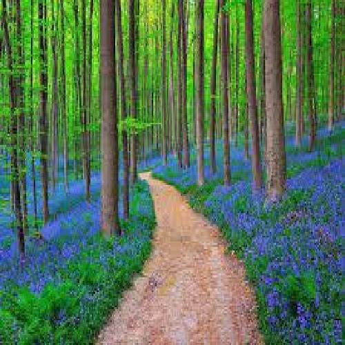  انگار از کنارم یه عالم بود که راحت رد میشن و دارم